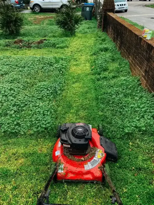 A lawn mower cutting a clean path through green grass